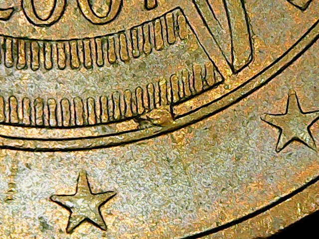 sena coins